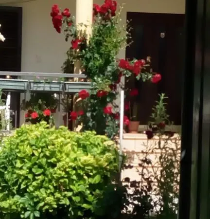 Guest house Rafomarija Medjugorje