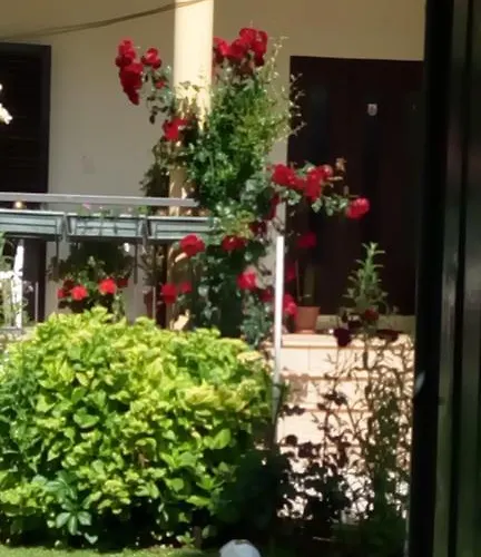 Penzion Rafomarija Međugorje