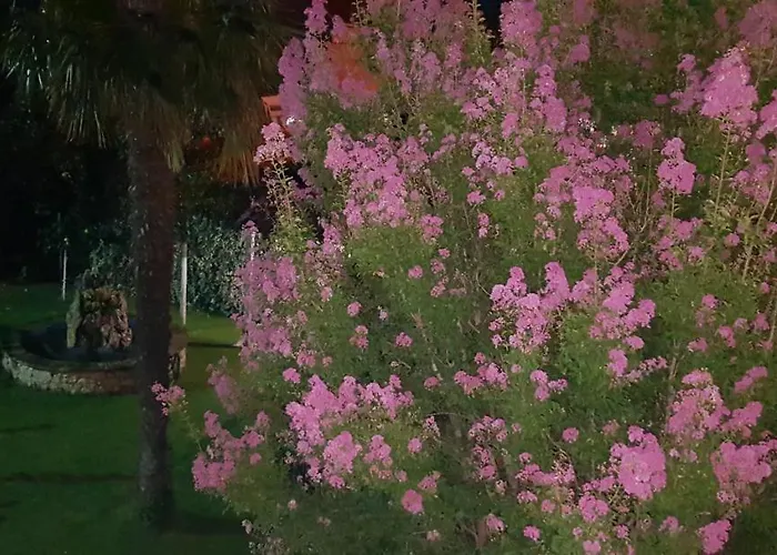 Rafomarija Penzion Međugorje