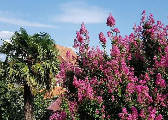 Rafomarija 2* Međugorje