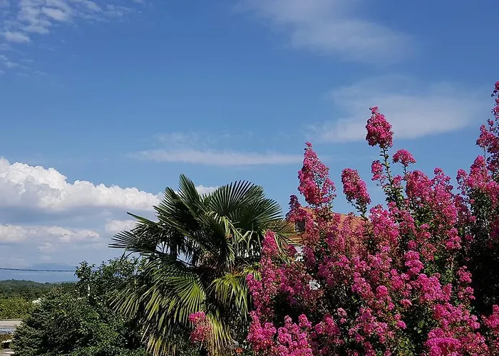 Rafomarija Penzion 2*